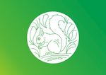 小白兔简笔画