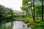 农村