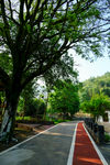 公路