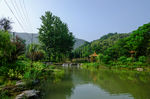 农村