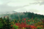 山林