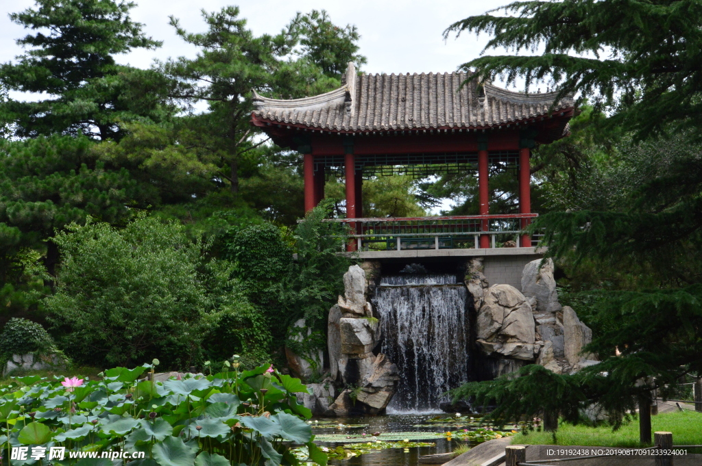 南植物园风景