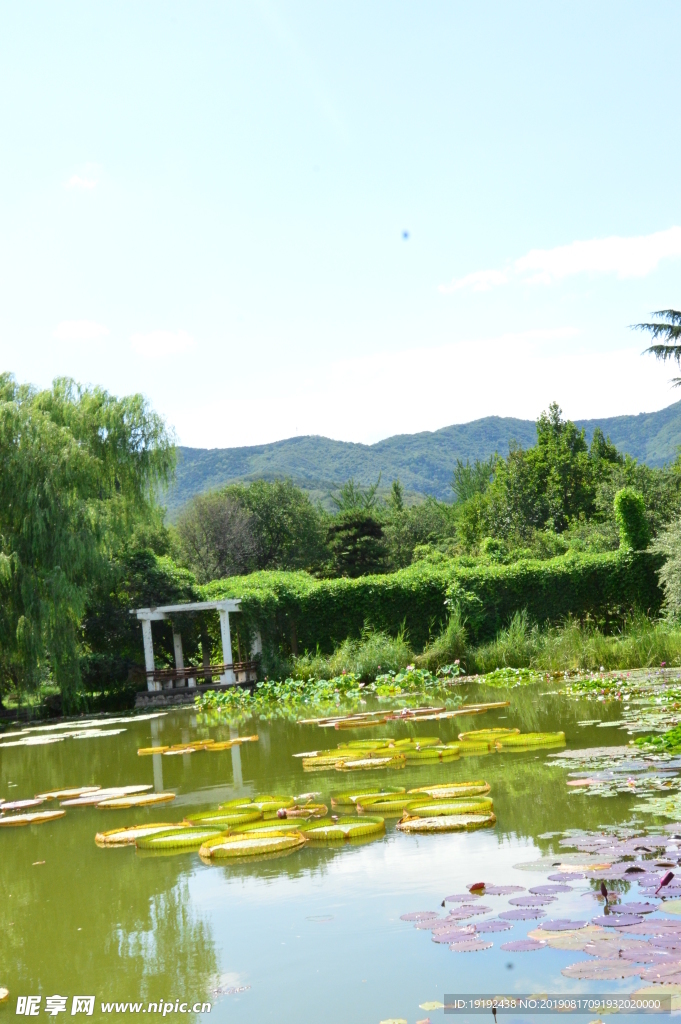 南植物园风景