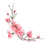卡通手绘梅花
