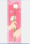 玫瑰花