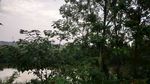 小河边