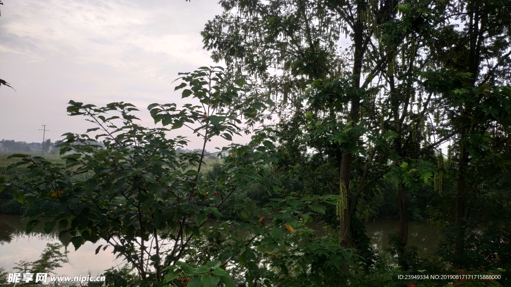 小河边