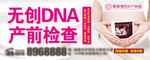 无创DNA 产检 产科