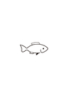 卡通手绘小鱼logo