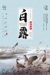 白露