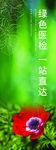 绿色背景