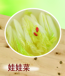 娃娃菜菜单