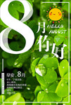 8月你好