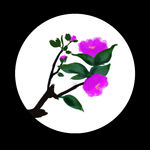 茶花