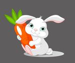 兔子 红萝卜