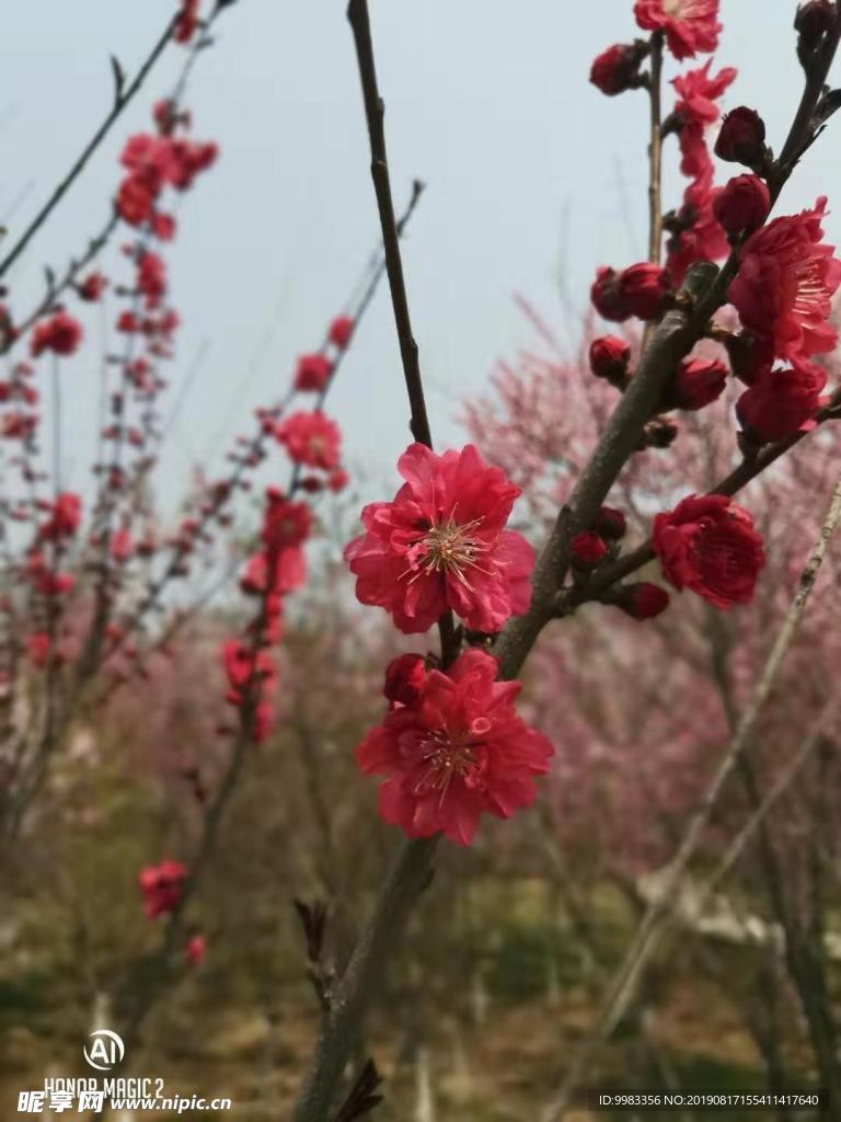 桃花涧风景区