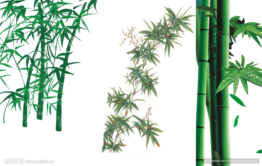 竹