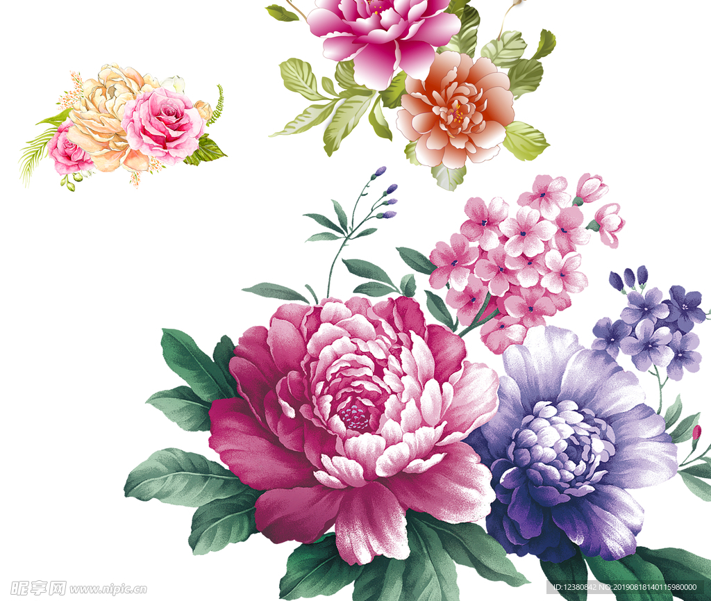 牡丹花