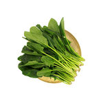 菠菜