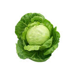 包菜