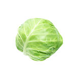 包菜