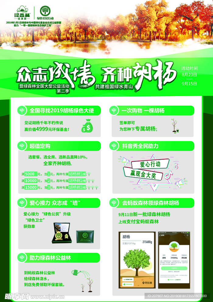 绿森林宣传单