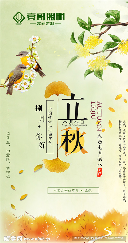 立秋 秋天 金色 枫叶 节气