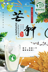 臻羊 传奇 海报