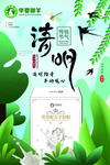 臻羊 传奇 海报
