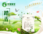 臻羊 传奇 海报