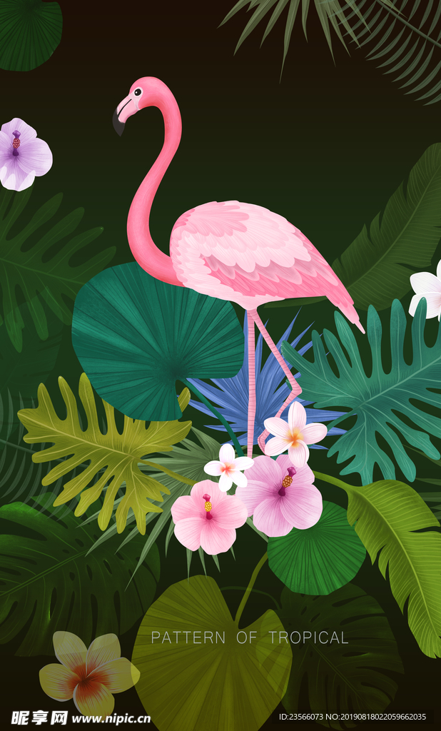 热带丛林植物插画