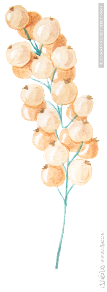 植物花朵创意装饰