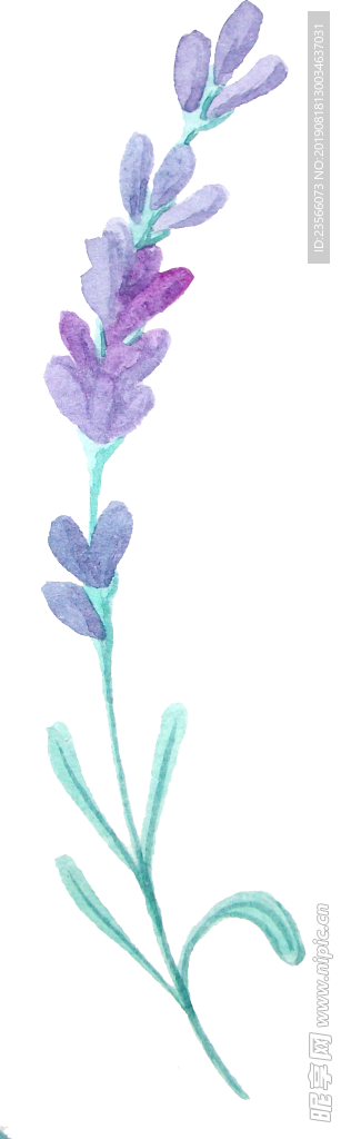 植物花朵创意装饰