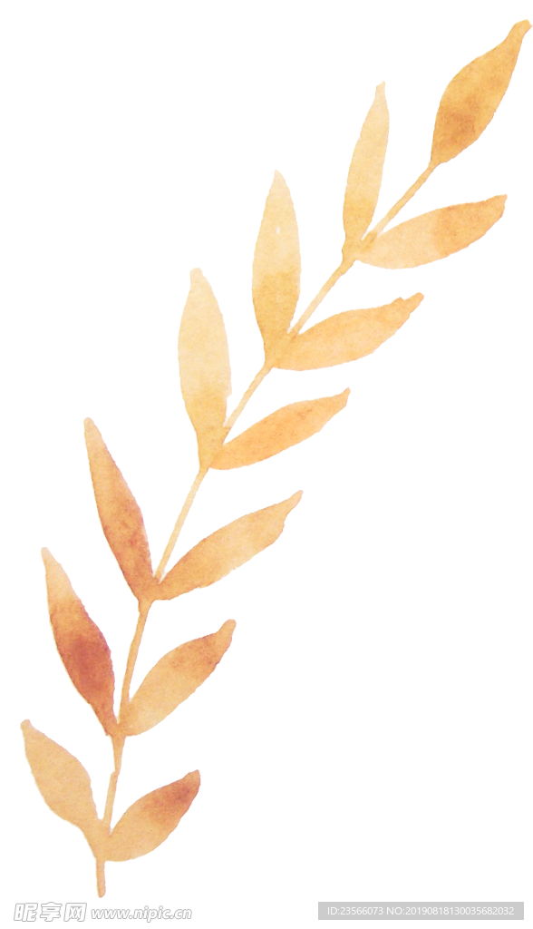 植物花朵创意装饰