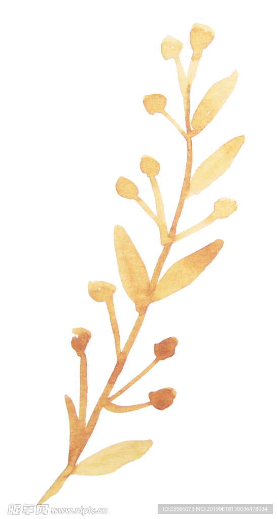 植物花朵创意装饰