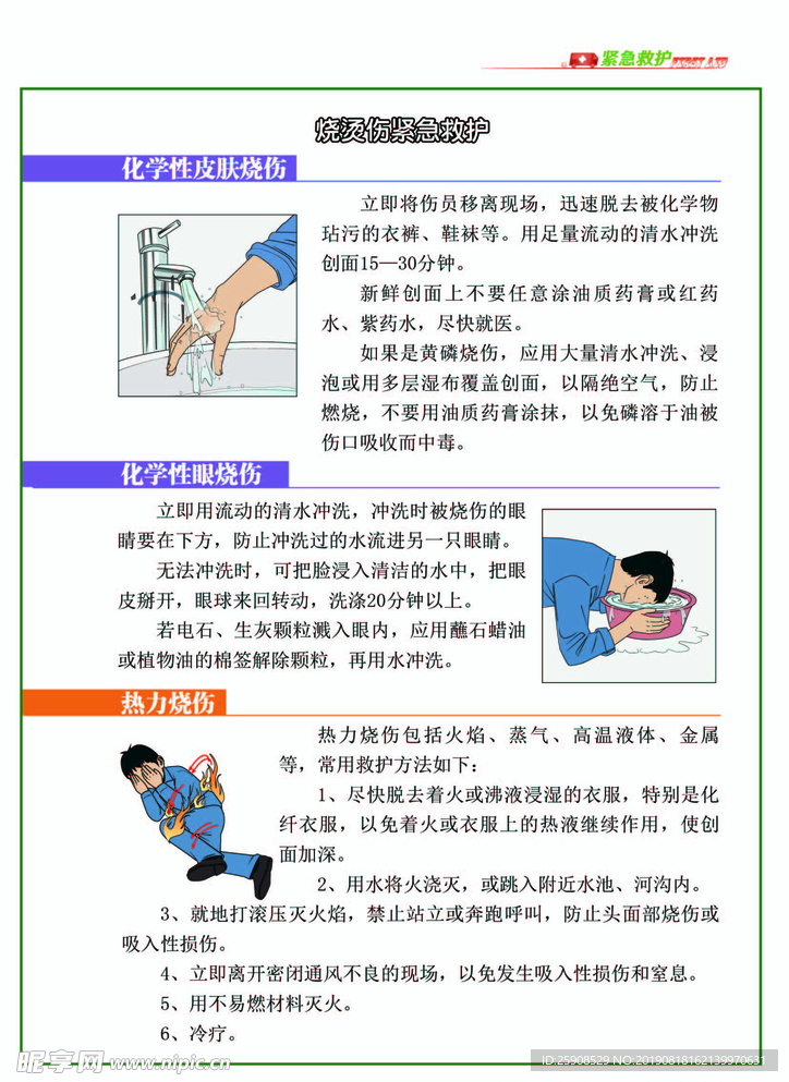 烧烫伤应急救护