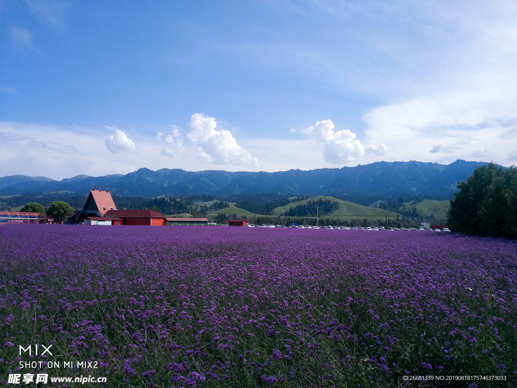 风景