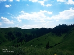 风景