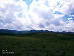 风景