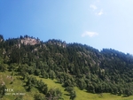 风景