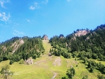 风景