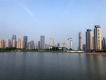 武汉四新方岛城市