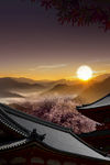 中秋背景