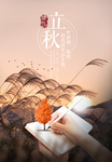 简约立秋节气海报