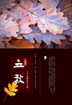 立秋节气宣传海报