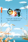 白露