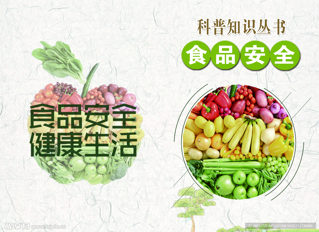 首页 封页 食品  科普 知识