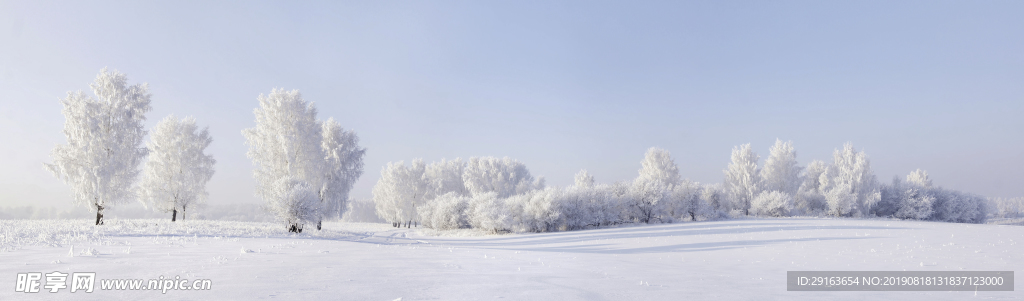 冬日雪景