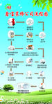 装饰公司流程图