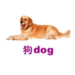 狗